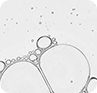 Niacinamide