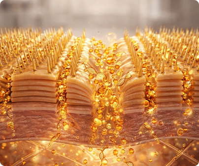 Katı Şampuan & Kondisyoner